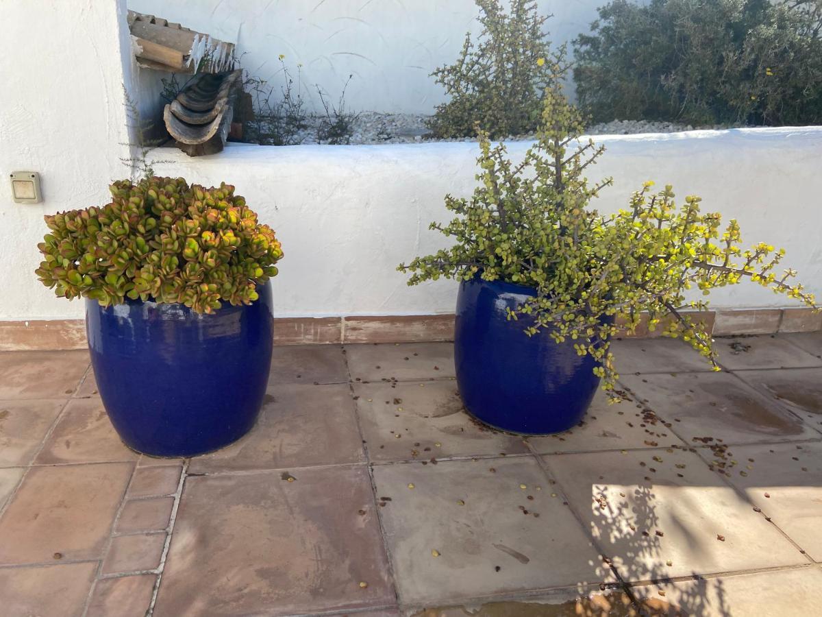 Javea Villa Entiere Piscine Et Cuisine D'Ete A Pinosol 외부 사진
