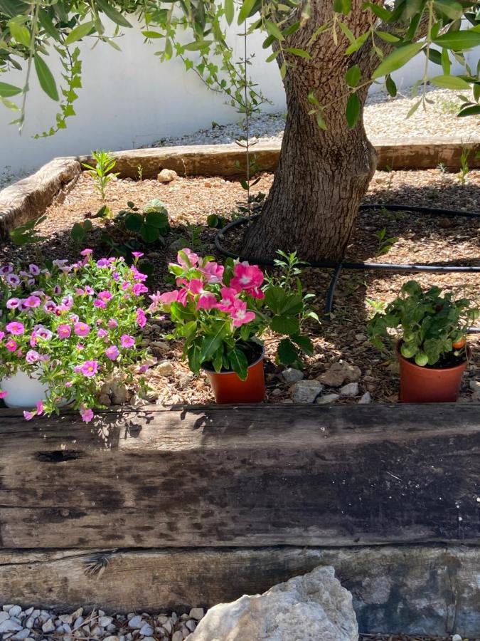 Javea Villa Entiere Piscine Et Cuisine D'Ete A Pinosol 외부 사진